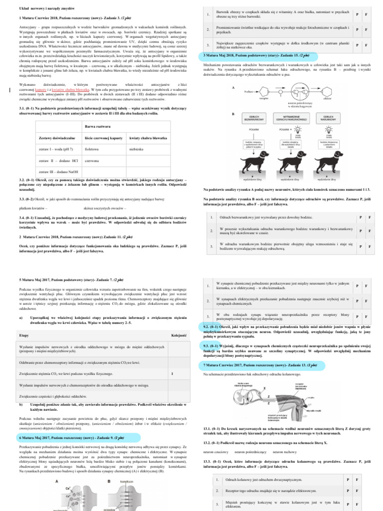 VIII Ukad Nerwowy | PDF