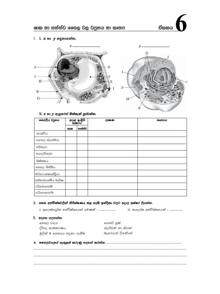 Unit 6 | PDF