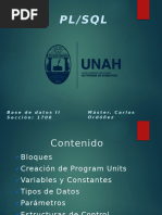 Paquetes en Oracle: Guía Completa PL/SQL | PDF | Pl / Sql | SQL