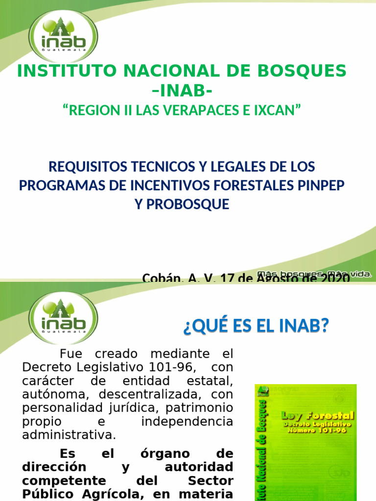 Requisitos del Programa PINPEP INAB | PDF | Los bosques