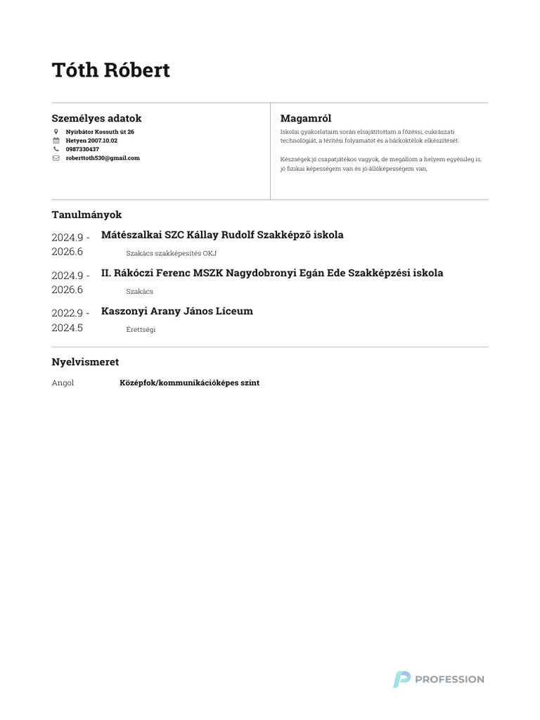 Toth Robert CV 20241114101141 | PDF