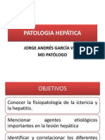 PATOLOGIA HEPATICA UIS 2012