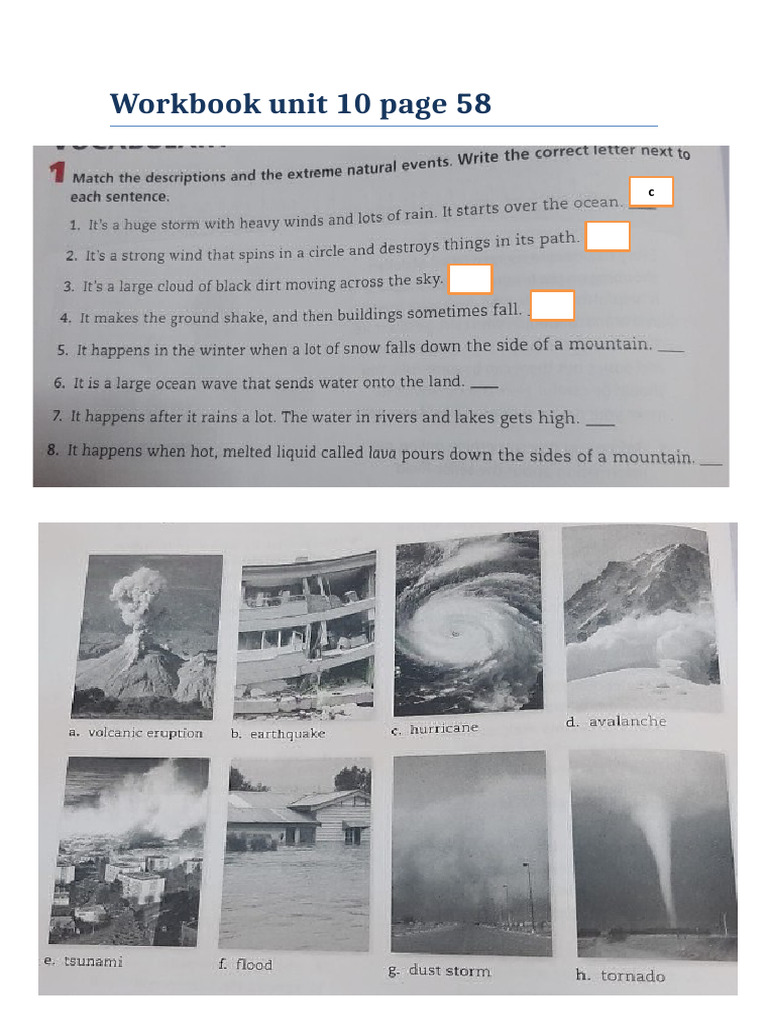 Workbook Unit 10 Exercises | PDF