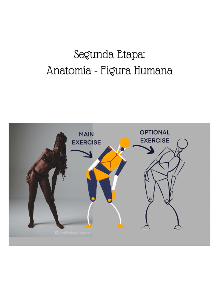 Anatomía de la Figura Humana: Guía Práctica | PDF