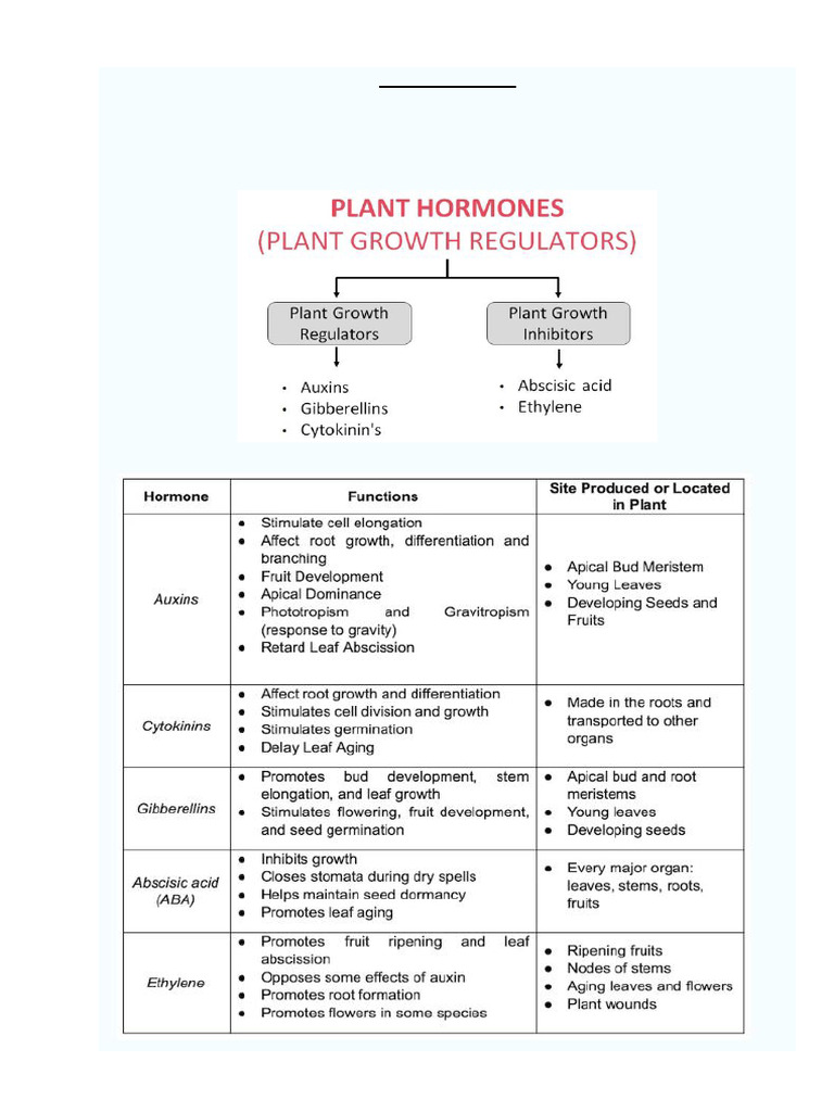 Overview of Plant Hormones | PDF