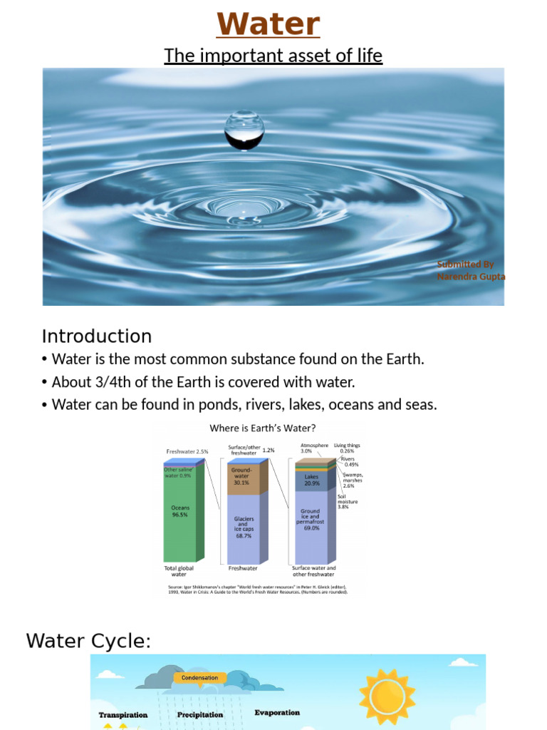 Importance and Challenges of Water | PDF