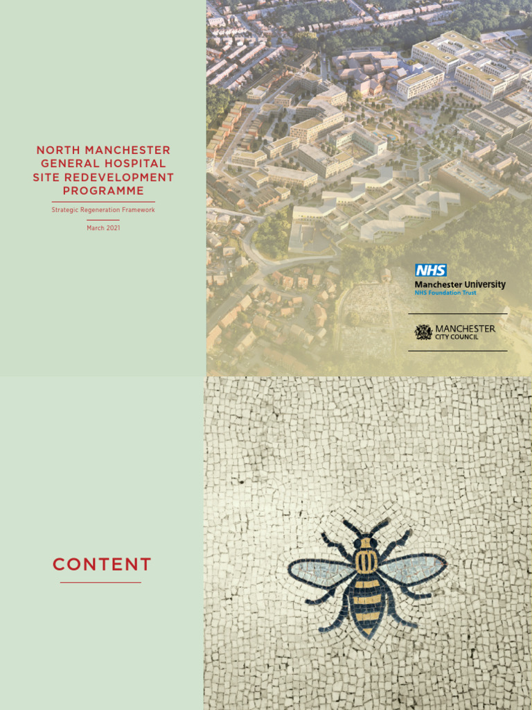 NMGH Site Redevelopment Programme SRF March 2021 | PDF | Health Care ...