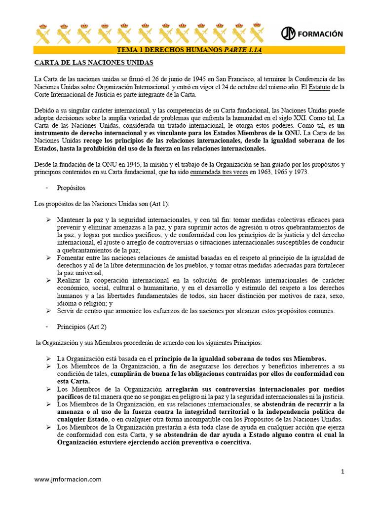 Derechos Humanos y la ONU: Introducción | PDF | Naciones Unidas