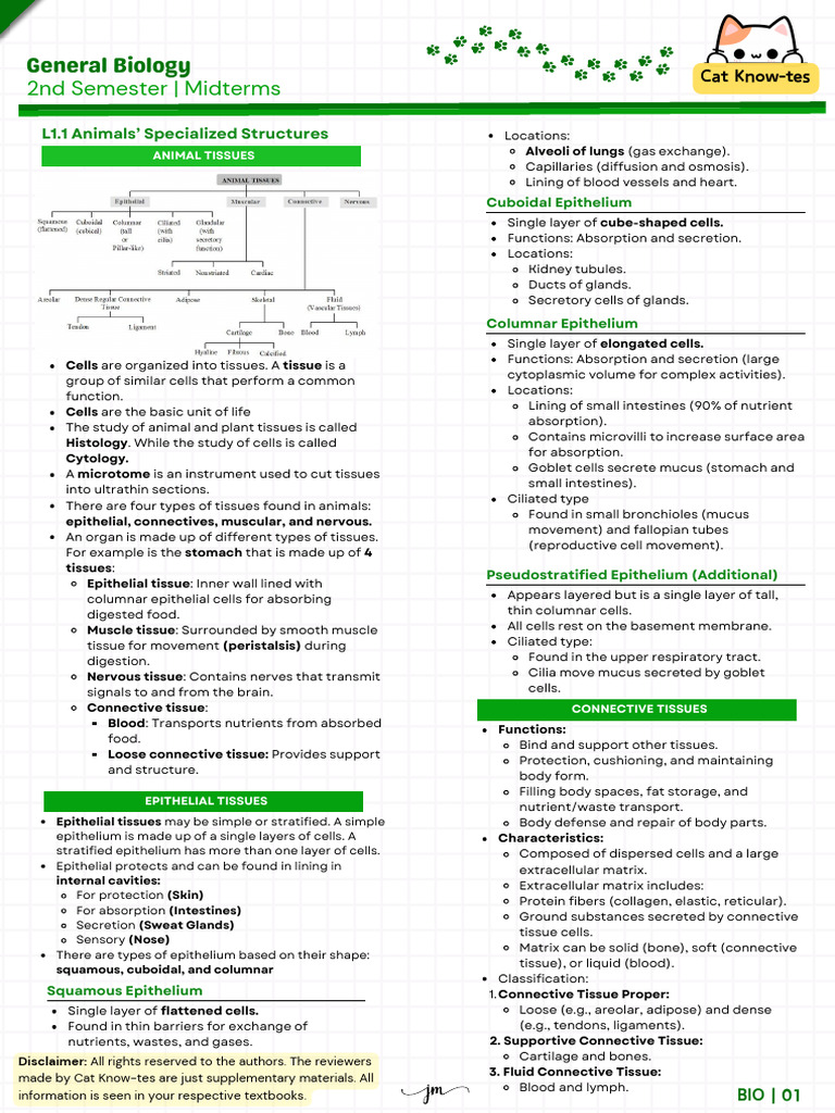 Cat-Know-Tes (Bio-2nd Sem Mid Terms) | PDF | Epithelium | Connective Tissue