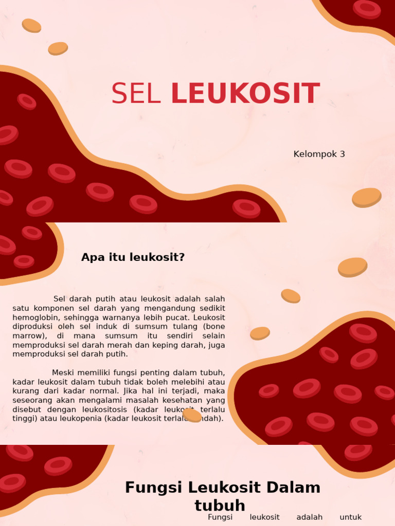 Fungsi dan Jenis Sel Leukosit | PDF
