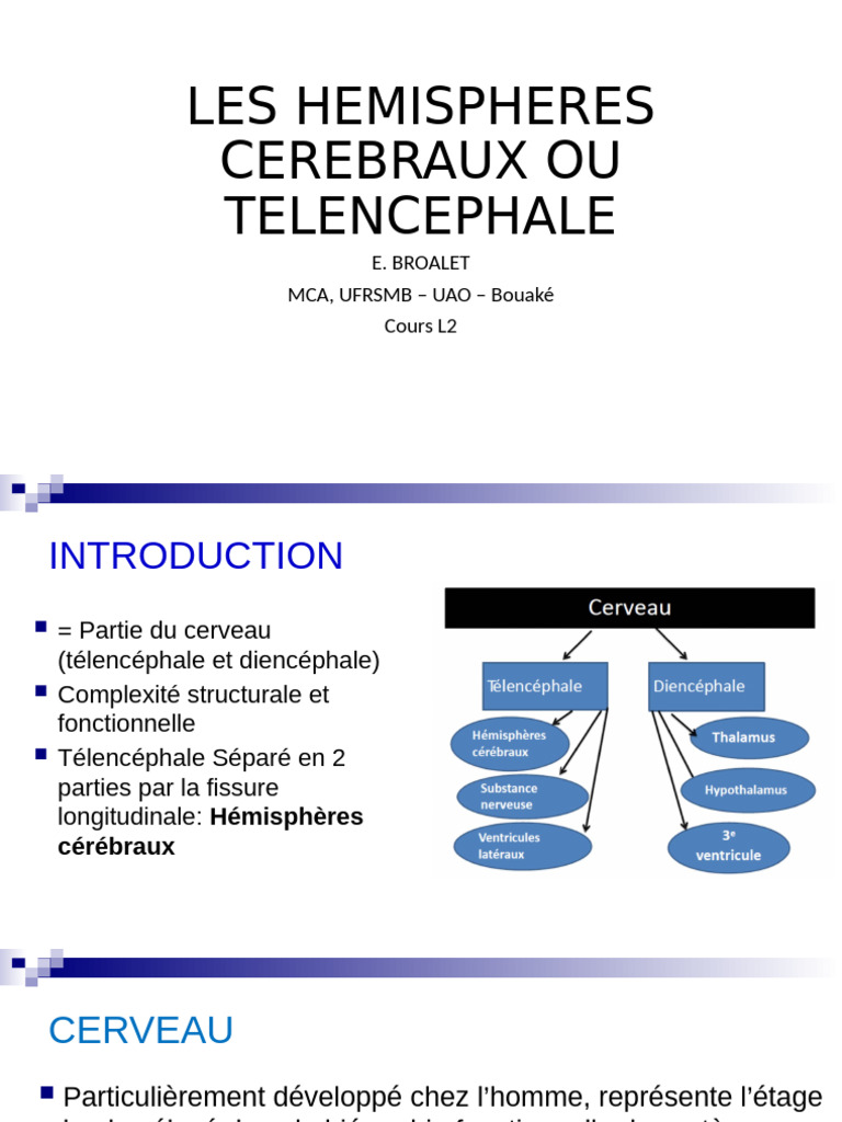 Hémisphères cérébraux : structure et fonctions | PDF | Cortex cérébral ...