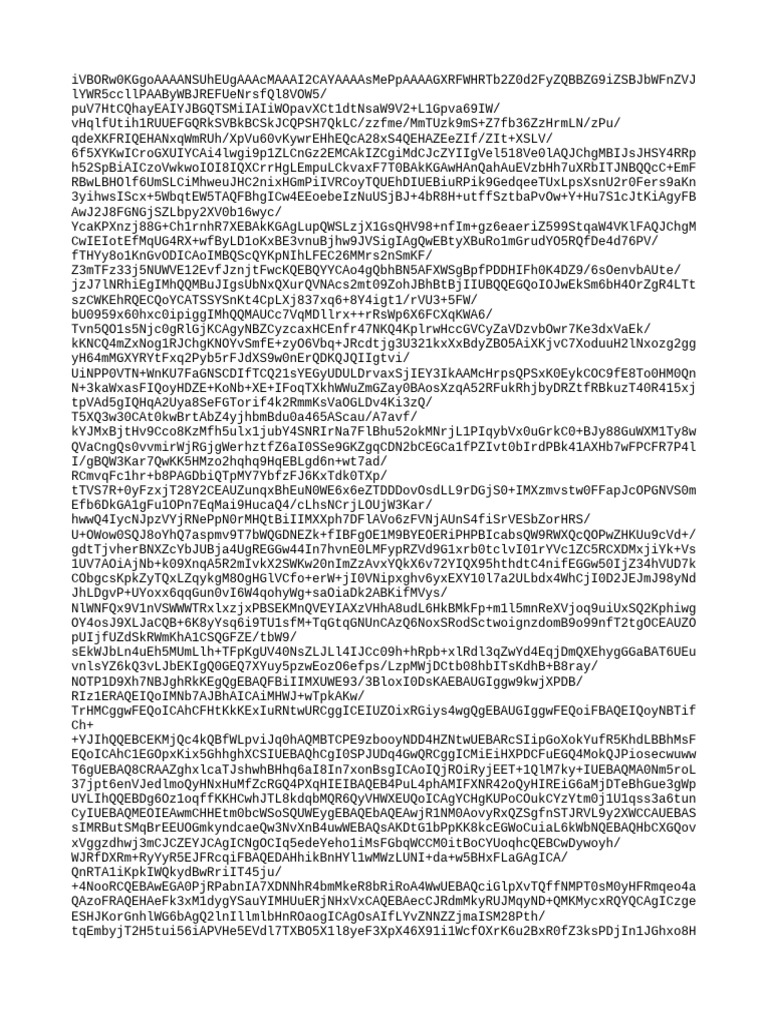 Base64 Image Data String | PDF