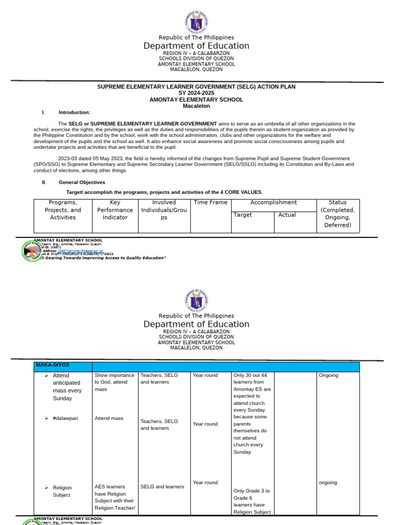 SELG Action Plan 2024-2025 Overview | PDF