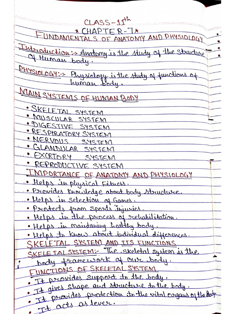 Class 11 Chapter 7 Fundamental of Anatomy and Physiology | PDF