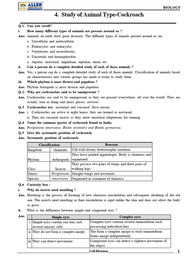 Anatomy and Classification of Cockroach | PDF | Heart