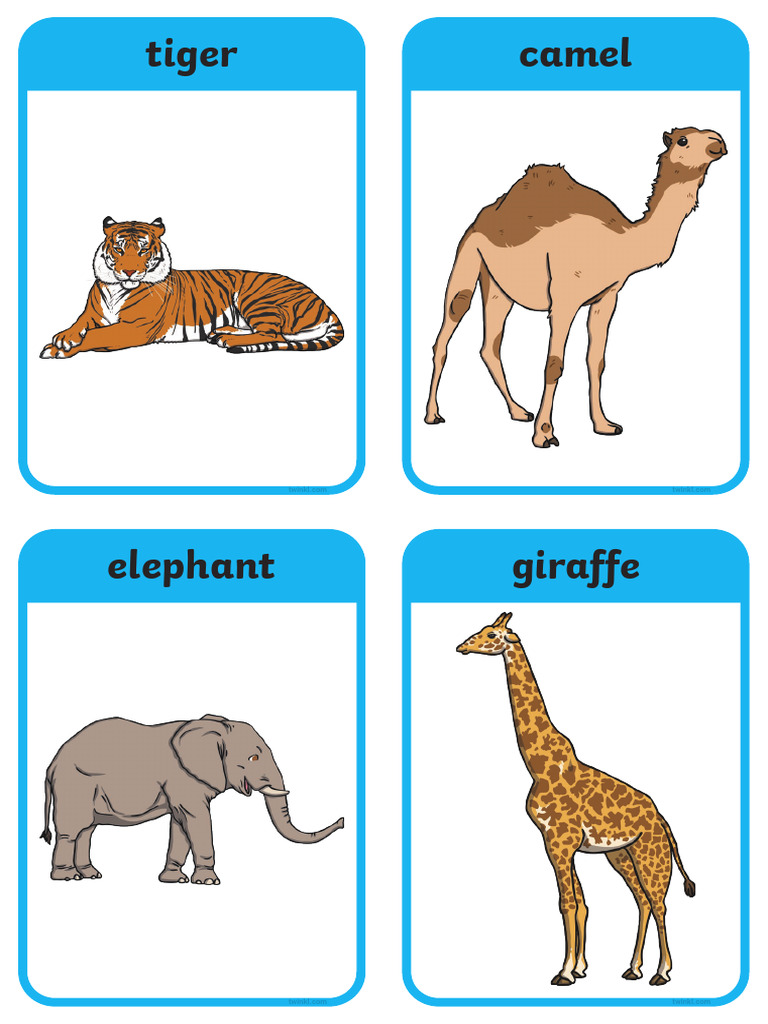 Planit Science Teaching Resources | PDF