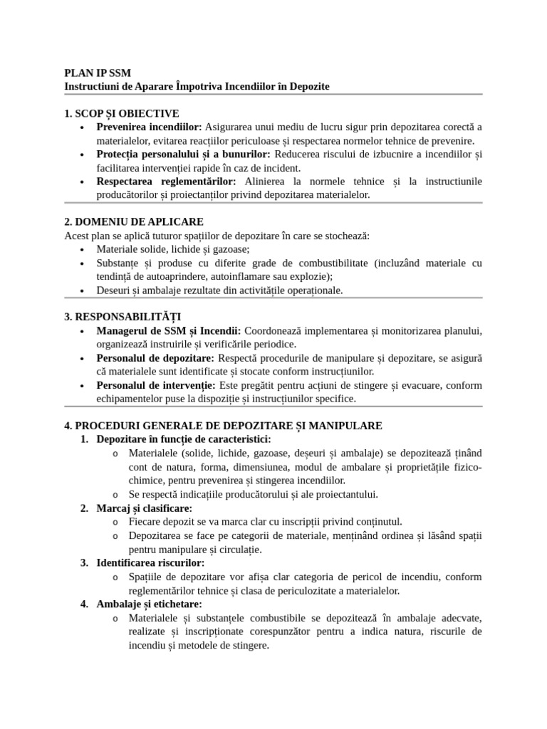 Plan Ip SSM | PDF