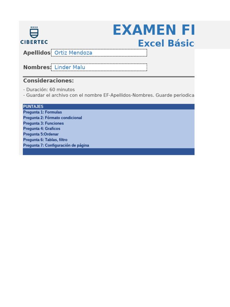 Examen Final de Excel Básico | PDF