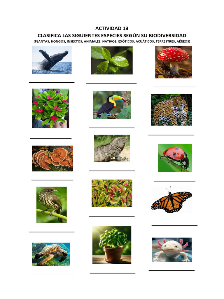 Clasificación de Los Animales Según Su Biodiversidad | PDF