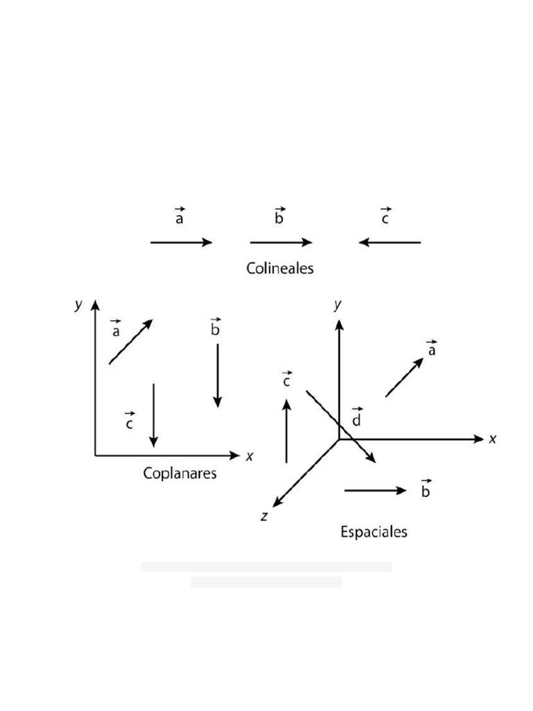 Clasificación de Vectores | PDF