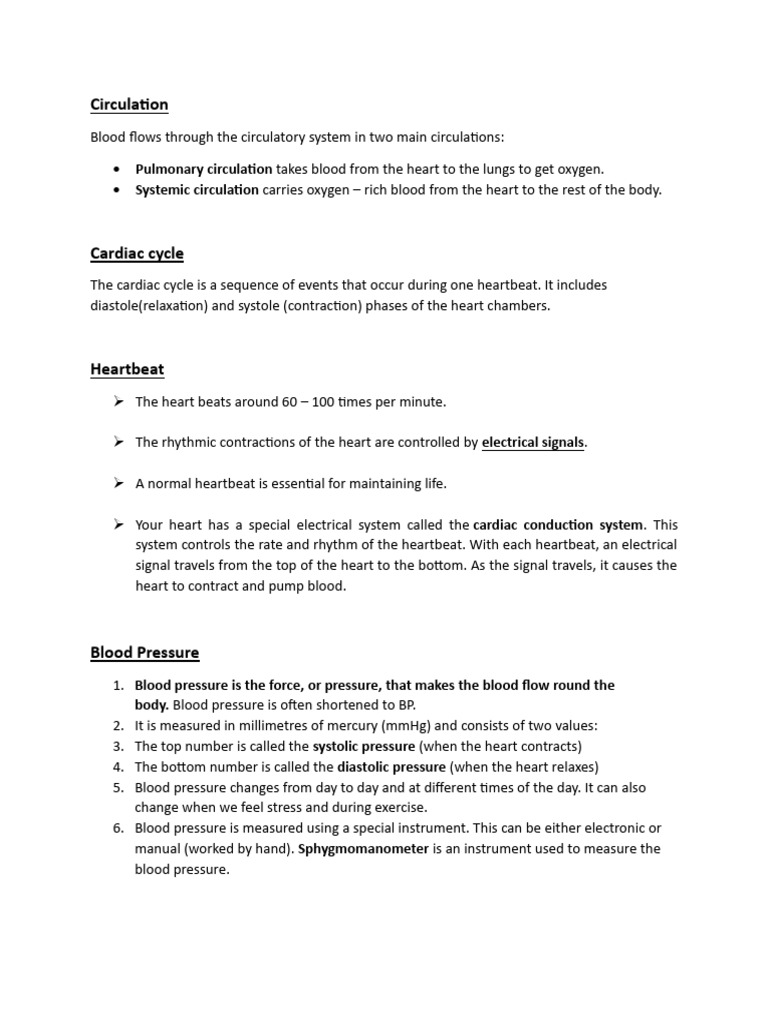 Understanding the Circulatory System | PDF | Heart | Blood Pressure