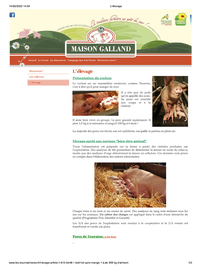 Élevage de porcs en PS | PDF