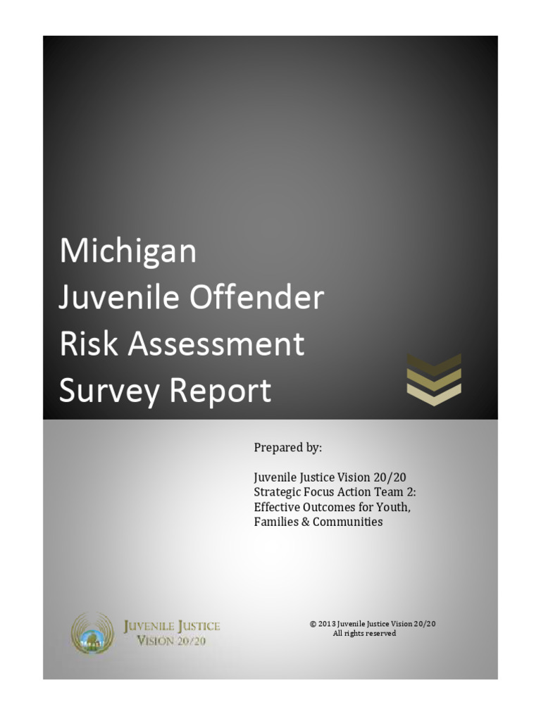 Jjv2020 - Risk Assessment Report - Final | PDF | Juvenile Delinquency ...