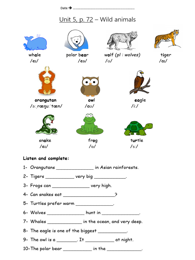 Wild Animals Unit 5 Test and Answers | PDF