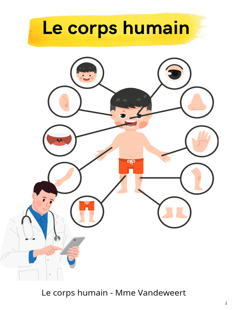 Le corps humain : Comprendre ses douleurs | PDF | Nombre grammatical
