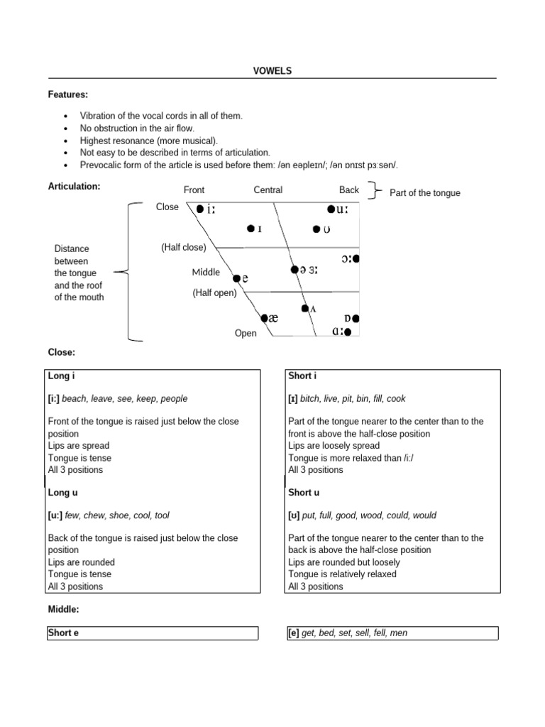 Understanding Vowels and Consonants | PDF | Phonetics | Human Voice