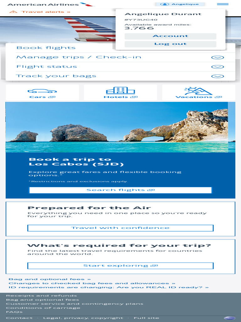 American Airlines - Airline Tickets and Low Fares | PDF