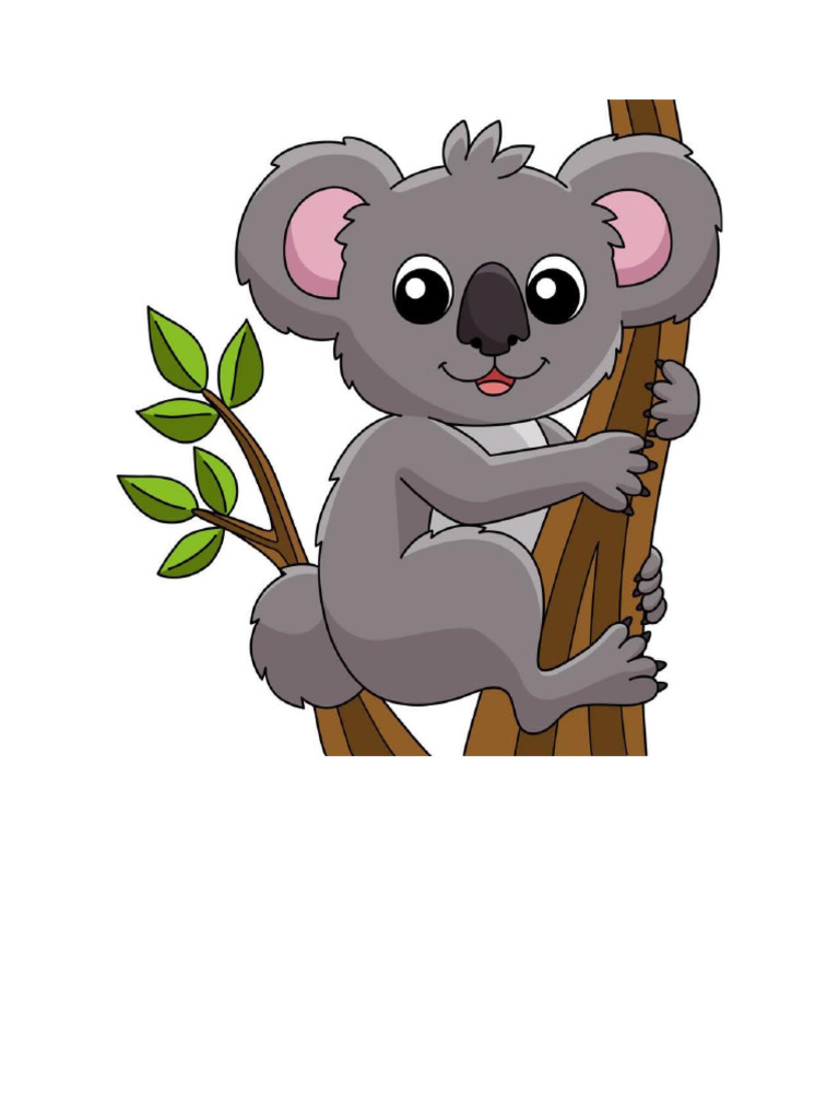 Koala | PDF