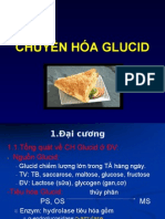 Chuyen Hoa Glucid