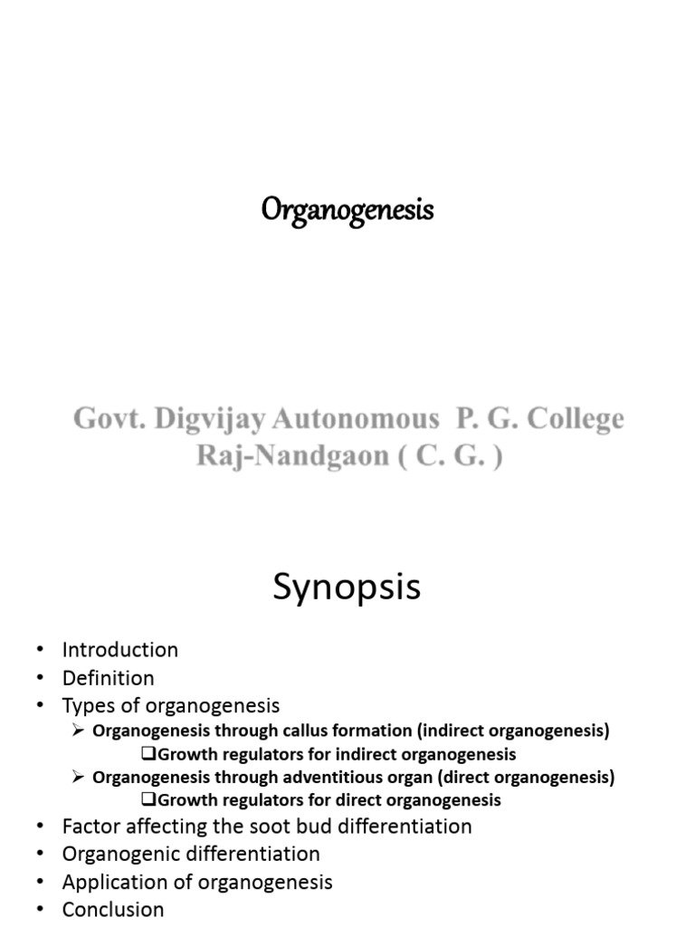 Understanding Organogenesis in Tissue Culture | PDF | Auxin | Root