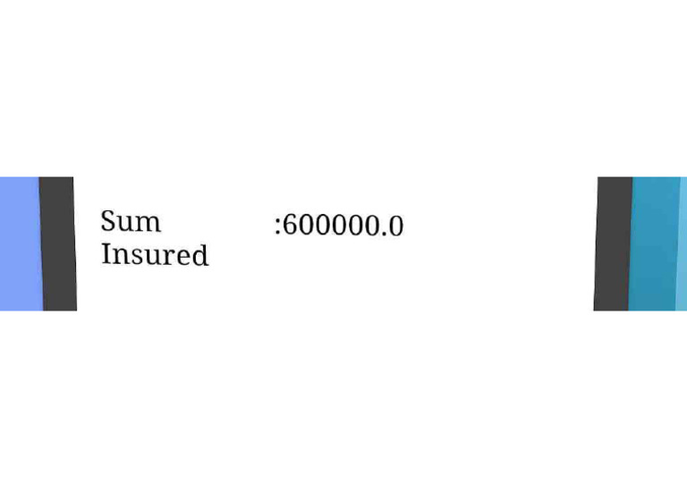 New Folder | PDF