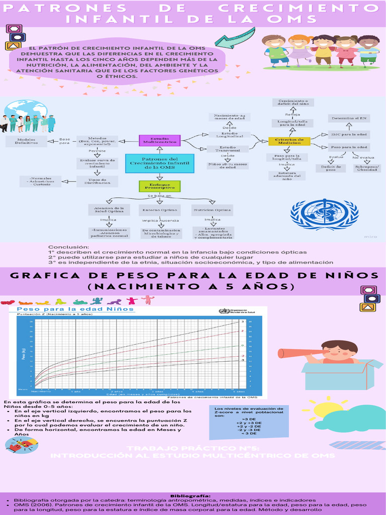 Los Patrones visual data 3
