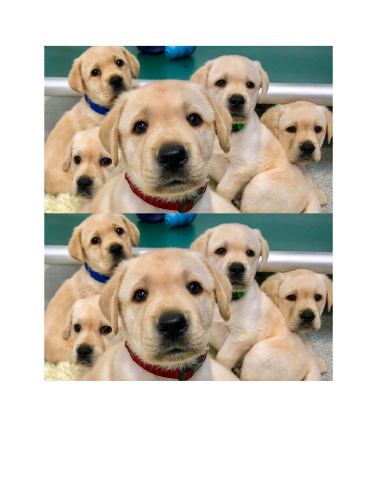 5 D | PDF