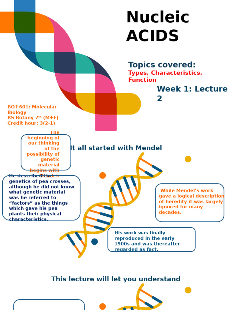 Introduction to Nucleic Acids | PDF | Nucleotides | Nucleic Acids