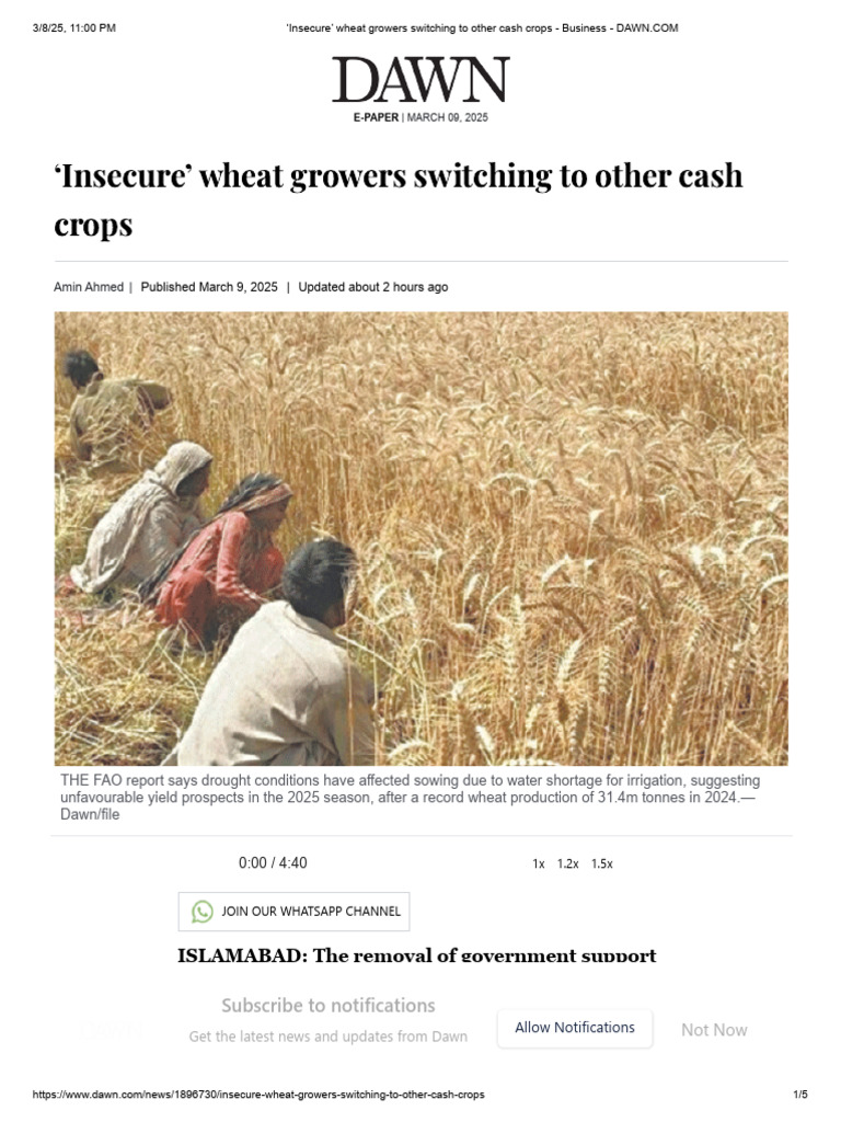 Pakistan Wheat Import Outlook 2025 | PDF | Wheat | Cereals