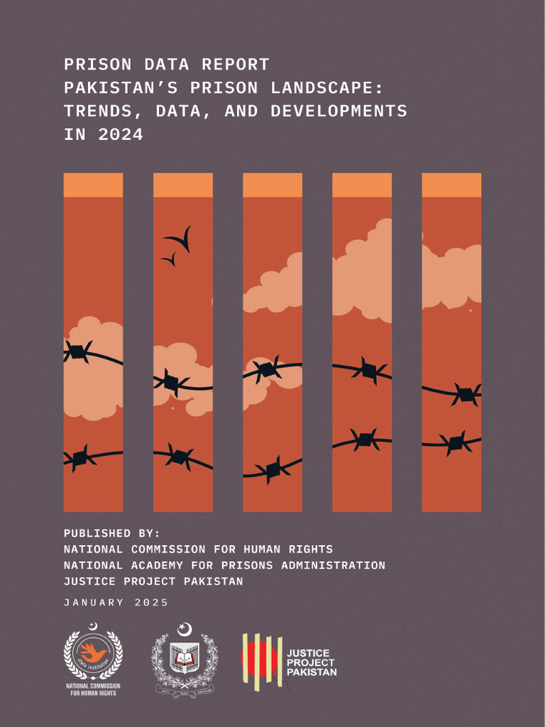 Pakistan Prison Data Report 2024 | PDF | Prison | Parole