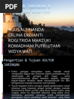 Download Presentasi kultur jaringan dan rekayasa genetika by Agustaf Alfinandez SN83706920 doc pdf