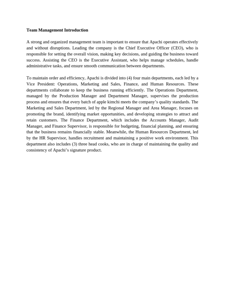 Apachi Management Team Overview | PDF