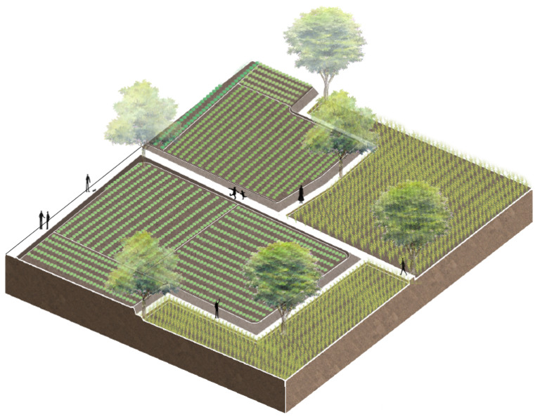 Adaptive Agriculture | PDF