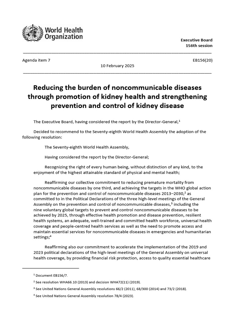 Kidney Health and NCD Prevention Strategies | PDF | Non Communicable ...