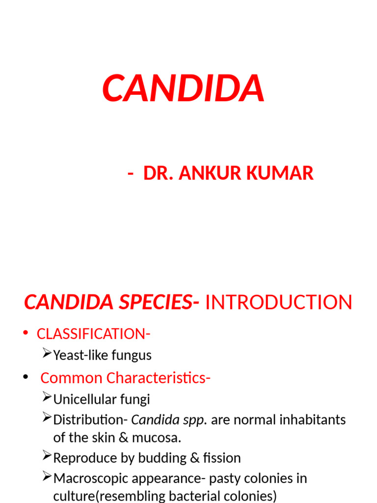 Candida 200531164905 | PDF | Candidiasis | Candida (Fungus)