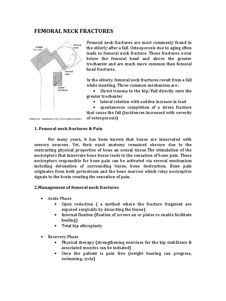 Femoral Neck Fractures Guide | PDF
