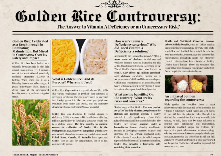 GMO Golden Rice | PDF