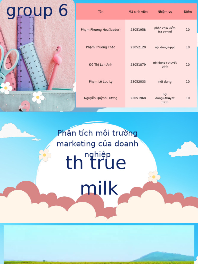 Nhóm 6 Phân Tích Môi Trư NG Marketing C A TH TRUE MILK | PDF