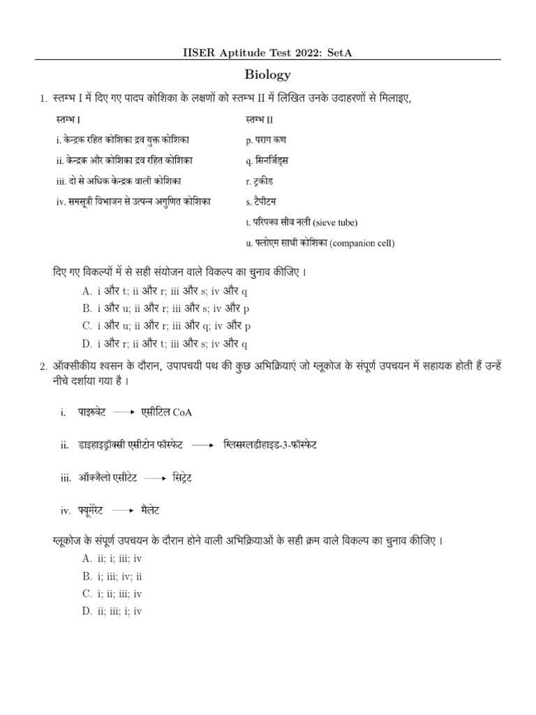 Iat Iiser Exam Pyq | PDF