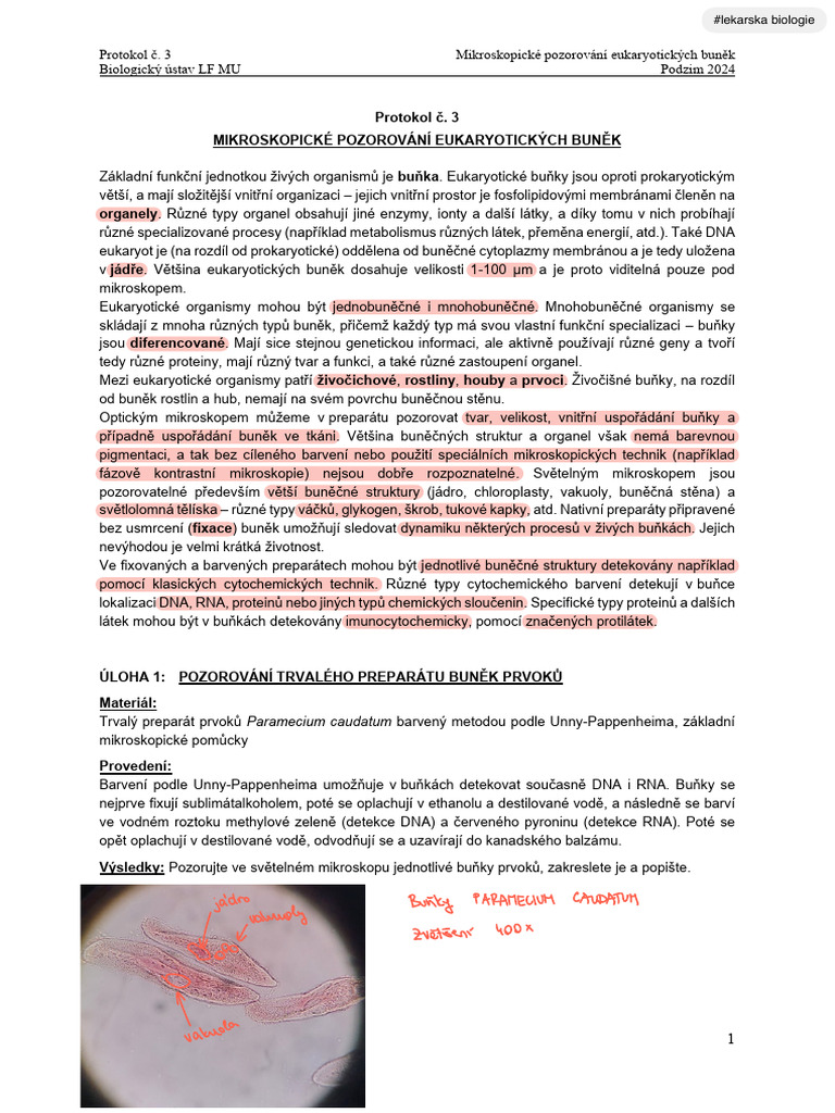 protokol bio 3 | PDF